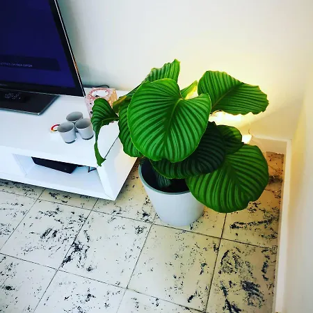 Fleuri Westende Apartment