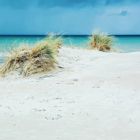 Fleuri Westende Appartement